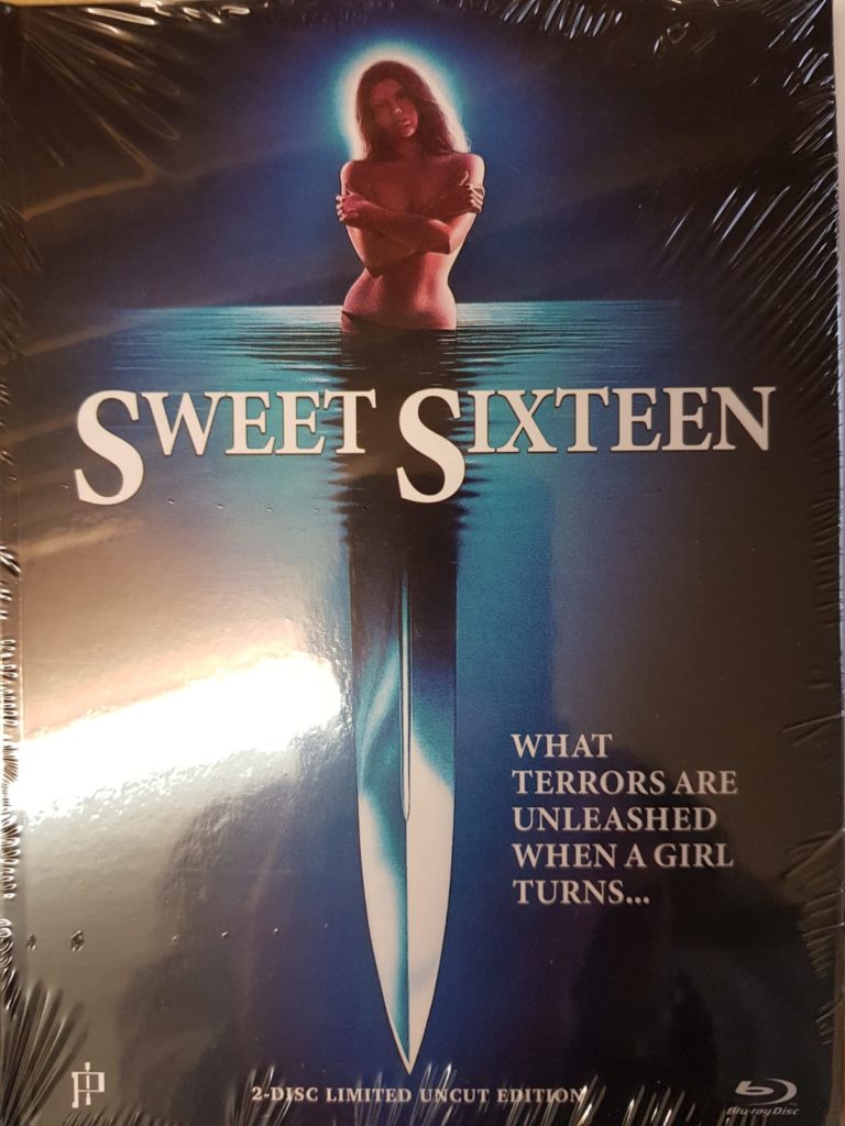 sweet sixteen movie summary